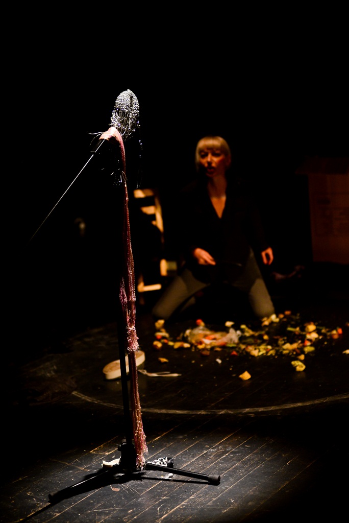 “Ana i Ona” naziv je predstave čijom je premijerom sinoć u zadarskom Kazalištu lutaka započela umjetnička revija pod nazivom “Nosi se Teatro Verrdi”.