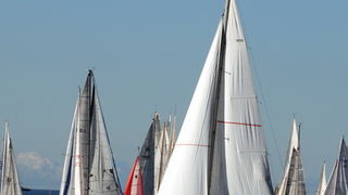 Trst: Barcolana 2009.