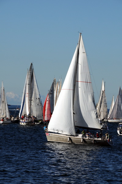 Trst: Barcolana 2009.