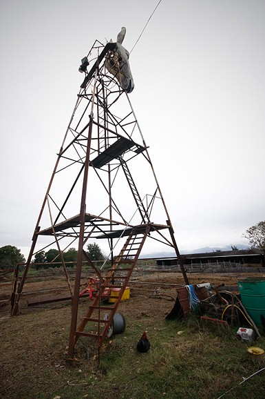 Farma “Dar-mar” (foto:Saša Čuka)