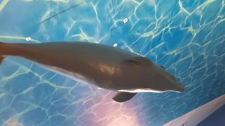 U Telašćici otvoren Interpretacijski centar Grpašćak U Telašćici otvoren Interpretacijski centar Grpašćak