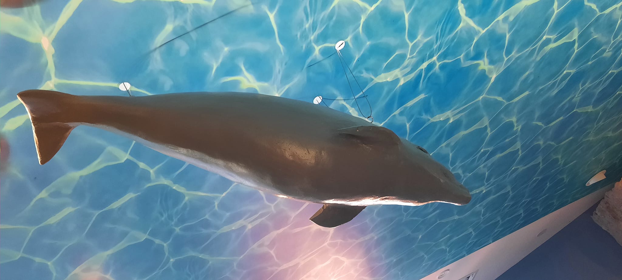 U Telašćici otvoren Interpretacijski centar Grpašćak U Telašćici otvoren Interpretacijski centar Grpašćak