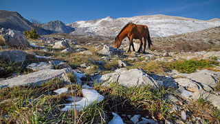 Đir do Libinja 9. travnja 2012. (foto:Saša Čuka) Đir do Libinja 9. travnja 2012. (foto:Saša Čuka)