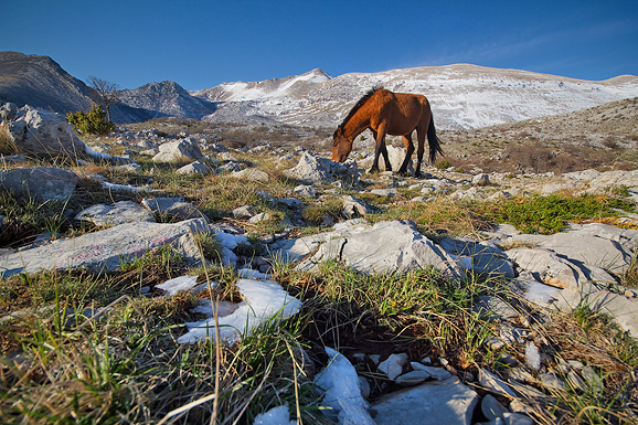 Đir do Libinja 9. travnja 2012. (foto:Saša Čuka) Đir do Libinja 9. travnja 2012. (foto:Saša Čuka)