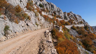 OLYMPUS DIGITAL CAMERA OLYMPUS DIGITAL CAMERA