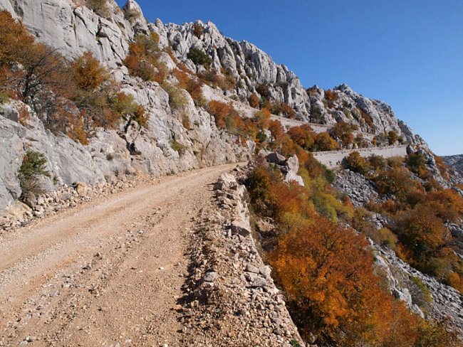 OLYMPUS DIGITAL CAMERA OLYMPUS DIGITAL CAMERA