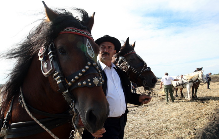 Jankolovica, Biograd, 150912. 
U Jankolovici kraj Biograda odrzan je drugi dan 59. Svjetskog prvenstva u oranju. Ovo natjecanje u oranju odrzava se od 1953. godine, a Hrvatska se ukljucila 2005. godine.
Na fotografiji: detalj s manifestacije. 
Foto: Jure