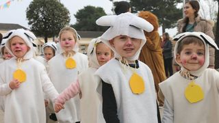 Virski Karnevalić 2017.