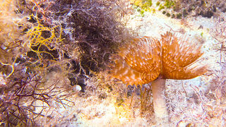 OLYMPUS DIGITAL CAMERA OLYMPUS DIGITAL CAMERA