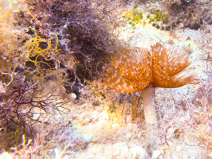 OLYMPUS DIGITAL CAMERA OLYMPUS DIGITAL CAMERA