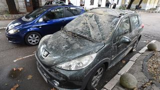 Zadar: Jak vjetar srušio stablo na parkirane automobile