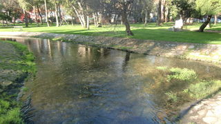 Prijepodne u parku Vruljica