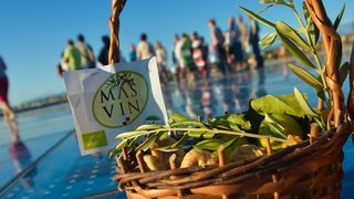 Festival smokava na Pozdravu suncu Festival smokava na Pozdravu suncu