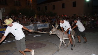 Image 1088999 (auto)