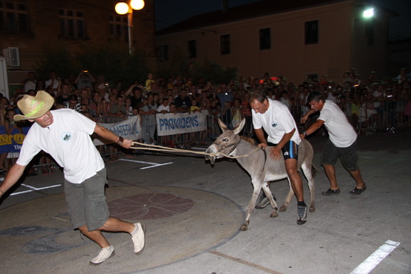 Image 1088999 (auto)