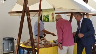 Proslava Dana grada Nina