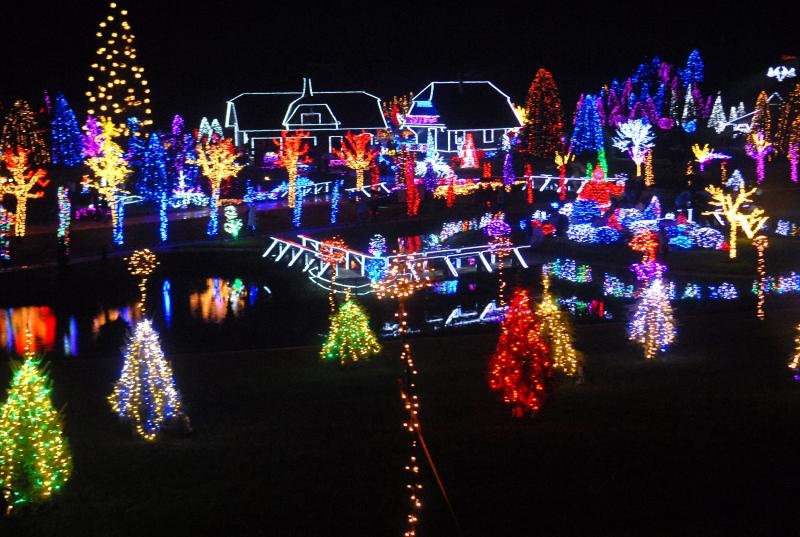 Božićna priča obitelji Salaj u Grabovnici, Photo: Damir Špehar/PIXSEL