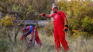 Na Vranskom jezeru održana akcija krčenja vegetacije Na Vranskom jezeru održana akcija krčenja vegetacije