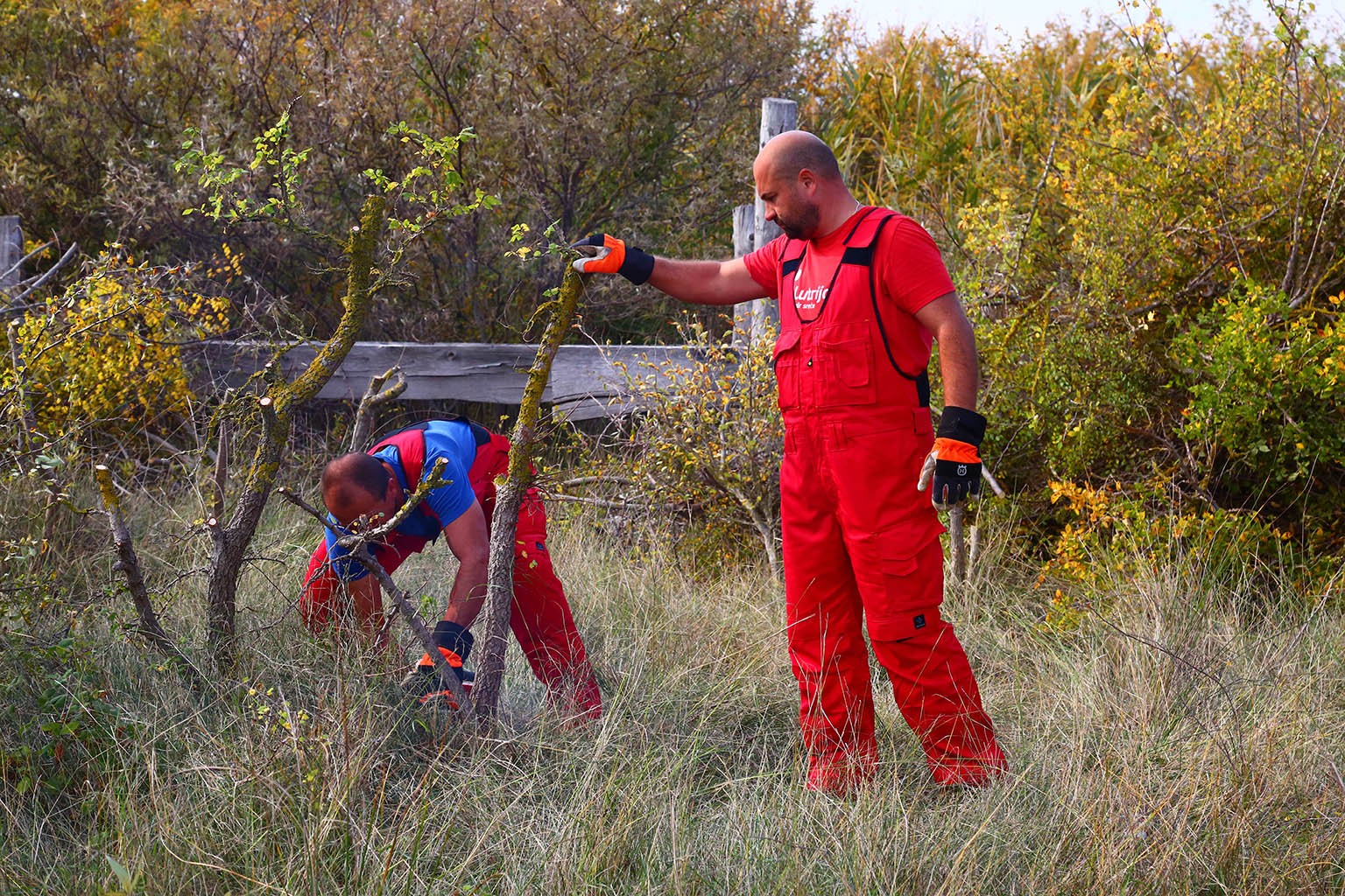 Na Vranskom jezeru održana akcija krčenja vegetacije Na Vranskom jezeru održana akcija krčenja vegetacije