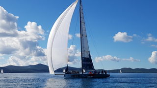 Zadarska Koka 2016. 22. listopada 2016. Foto: Mladen Malik Zadarska Koka 2016. 22. listopada 2016. Foto: Mladen Malik