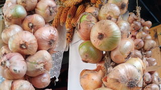 Gospić: Jesen u Lici 2018. Gospić: Jesen u Lici 2018.