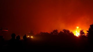 Vatrogasci gase pozar u Policima, Foto: Zdenko Knezevic