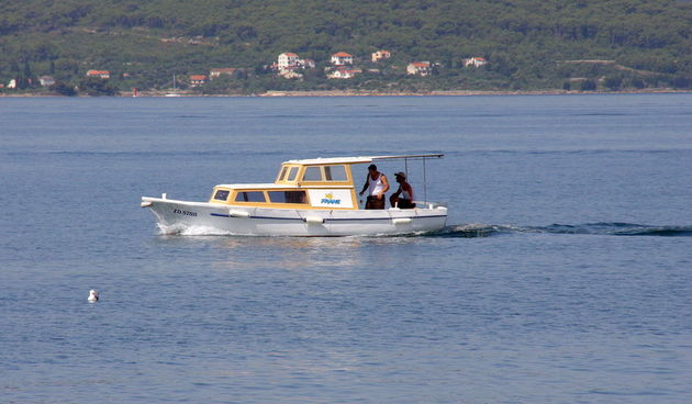 Zadarsli motivi – ljeto