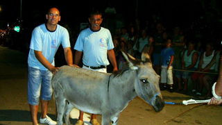 Sukosan: 40. Memorijal kenje Viole i svicarenje, 9. kolovoza 2009, Foto: Mirta Krupic
