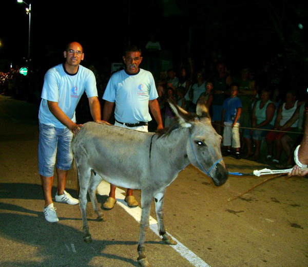 Sukosan: 40. Memorijal kenje Viole i svicarenje, 9. kolovoza 2009, Foto: Mirta Krupic