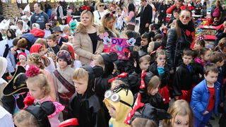 Virski karnevalić 2016. Virski karnevalić 2016.