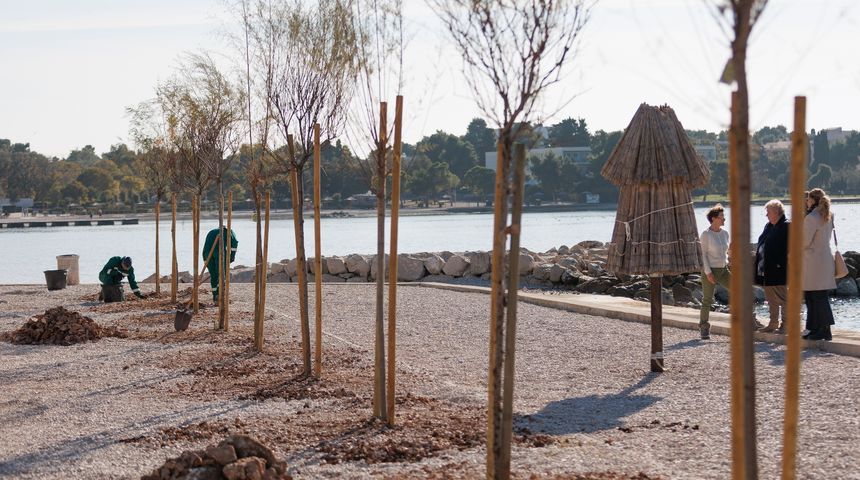 U sklopu projekta “Hrvatska prirodno tvoja – Croatia Naturally Yours” posađene nove sadnice stabala tamarisa u Diklu U sklopu projekta “Hrvatska prirodno tvoja – Croatia Naturally Yours” posađene nove sadnice stabala tamarisa u Diklu