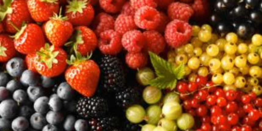 Hrana(foto:studio88.ba) Hrana(foto:studio88.ba)