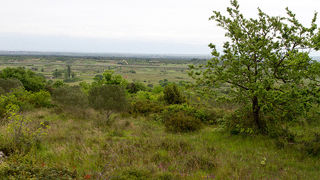 Misa na ostacima crkve na Petrini, foto: Leo Banić Misa na ostacima crkve na Petrini, foto: Leo Banić
