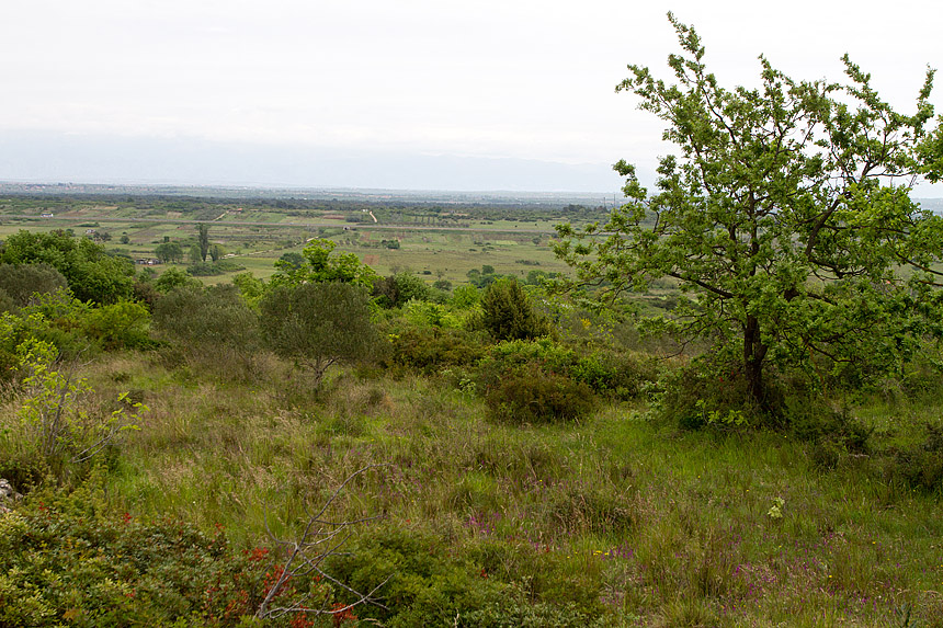 Misa na ostacima crkve na Petrini, foto: Leo Banić Misa na ostacima crkve na Petrini, foto: Leo Banić