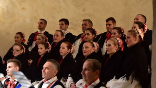 Turopoljsko srce srcu Zadra