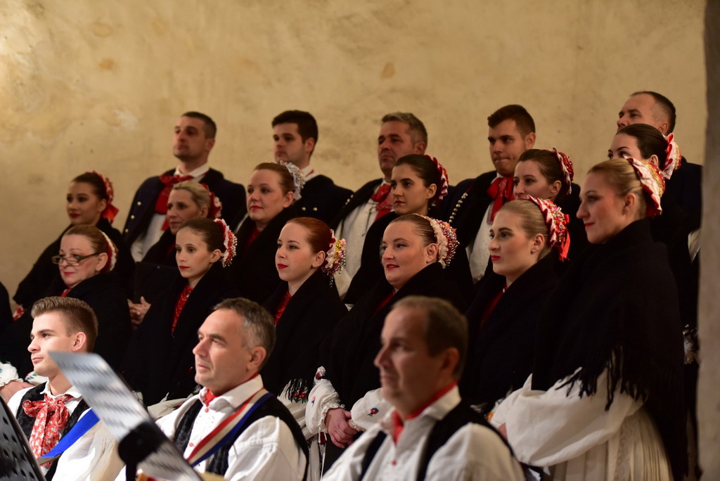 Turopoljsko srce srcu Zadra