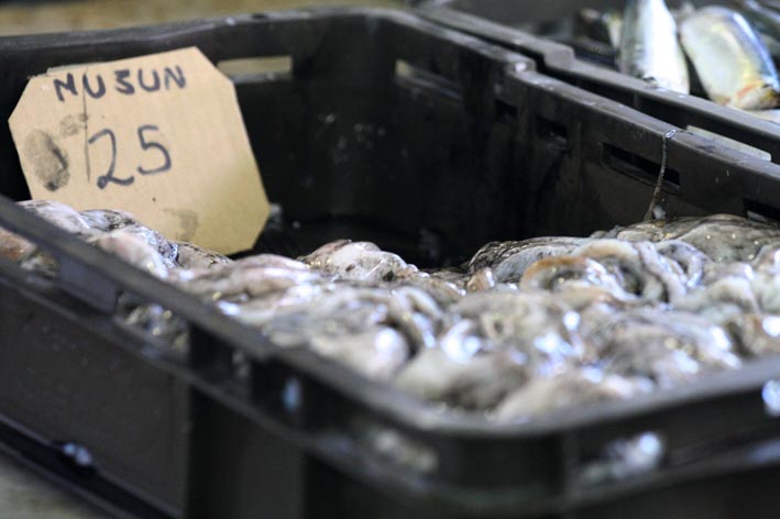 Image 1200385 (auto)