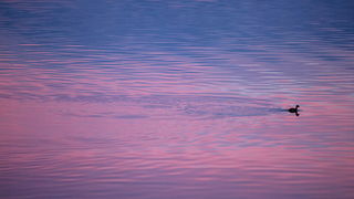 OLYMPUS DIGITAL CAMERA OLYMPUS DIGITAL CAMERA