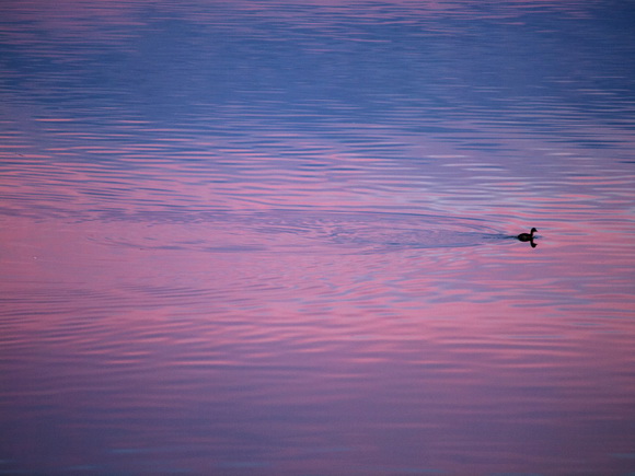 OLYMPUS DIGITAL CAMERA OLYMPUS DIGITAL CAMERA