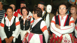 Festica na poluotoku, 11.srpnja 2008.