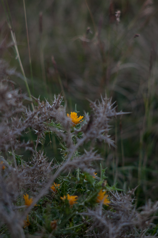 Đir do Ljupča, foto: Darko Belančić