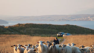 Đir do Ljupča, foto: Darko Belančić