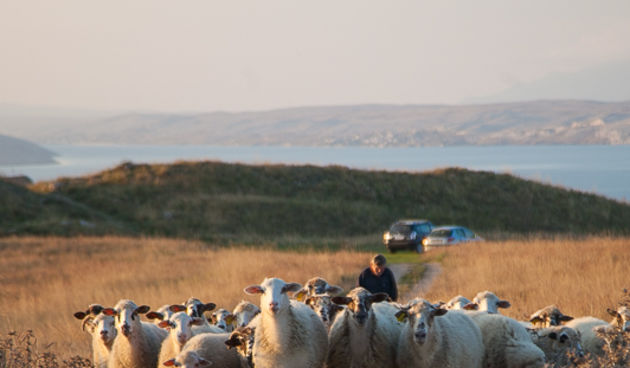 Đir do Ljupča, foto: Darko Belančić