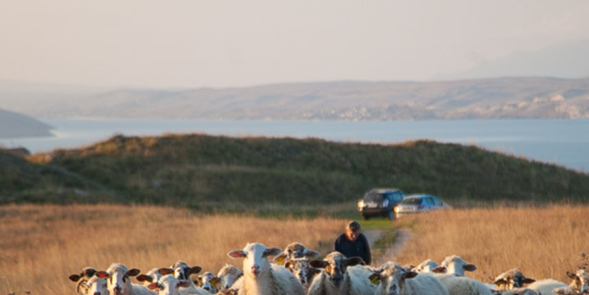 Đir do Ljupča, foto: Darko Belančić Đir do Ljupča, foto: Darko Belančić