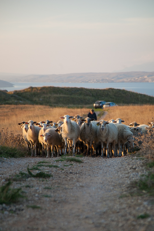 Đir do Ljupča, foto: Darko Belančić
