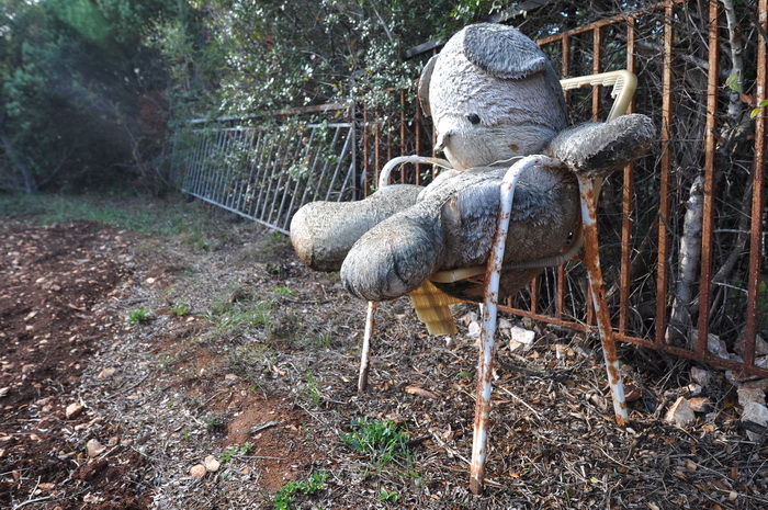 Zadar, 021111
Uz cestu koja vodi od Zadra prema Razancu moze se vidjeti jedan od sigurno najneobicnijih vinograda na svijetu. Umjesto uobicajenih strasila, vinograd cuvaju ogromni plisani medvjedi , lutke, barbike i raznorazne druge igracke i predmeti.
Fo Zadar, 021111
Uz cestu koja vodi od Zadra prema Razancu moze se vidjeti jedan od sigurno najneobicnijih vinograda na svijetu. Umjesto uobicajenih strasila, vinograd cuvaju ogromni plisani medvjedi , lutke, barbike i raznorazne druge igracke i predmeti.
Fo