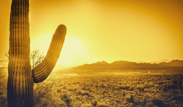 Rekordni toplinski val SAD