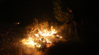 Požar u Tučepima Požar u Tučepima