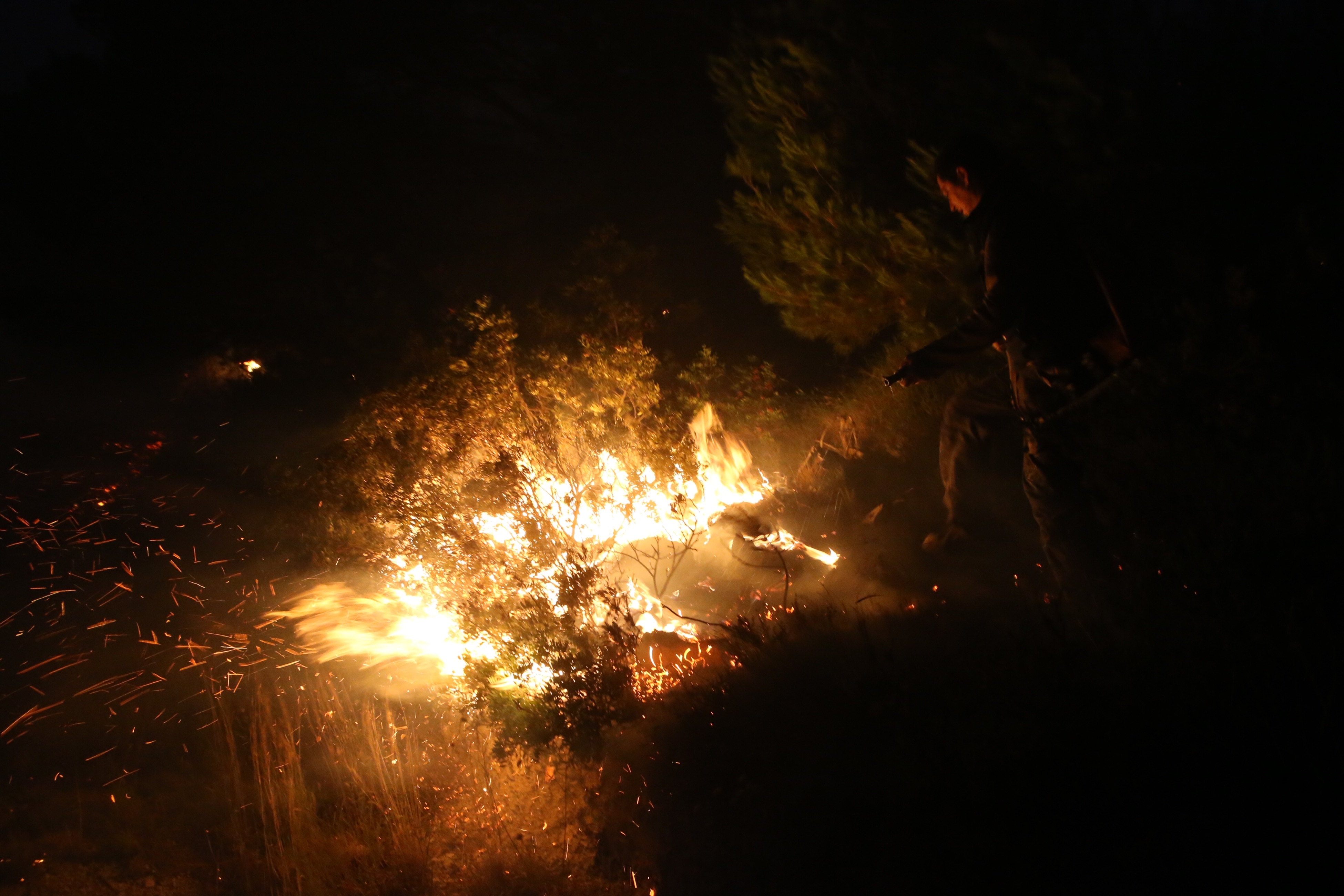 Požar u Tučepima Požar u Tučepima