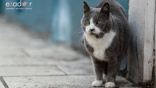 Đir po gradu, subotnja špica 19. siječnja 2019. Đir po gradu, subotnja špica 19. siječnja 2019.